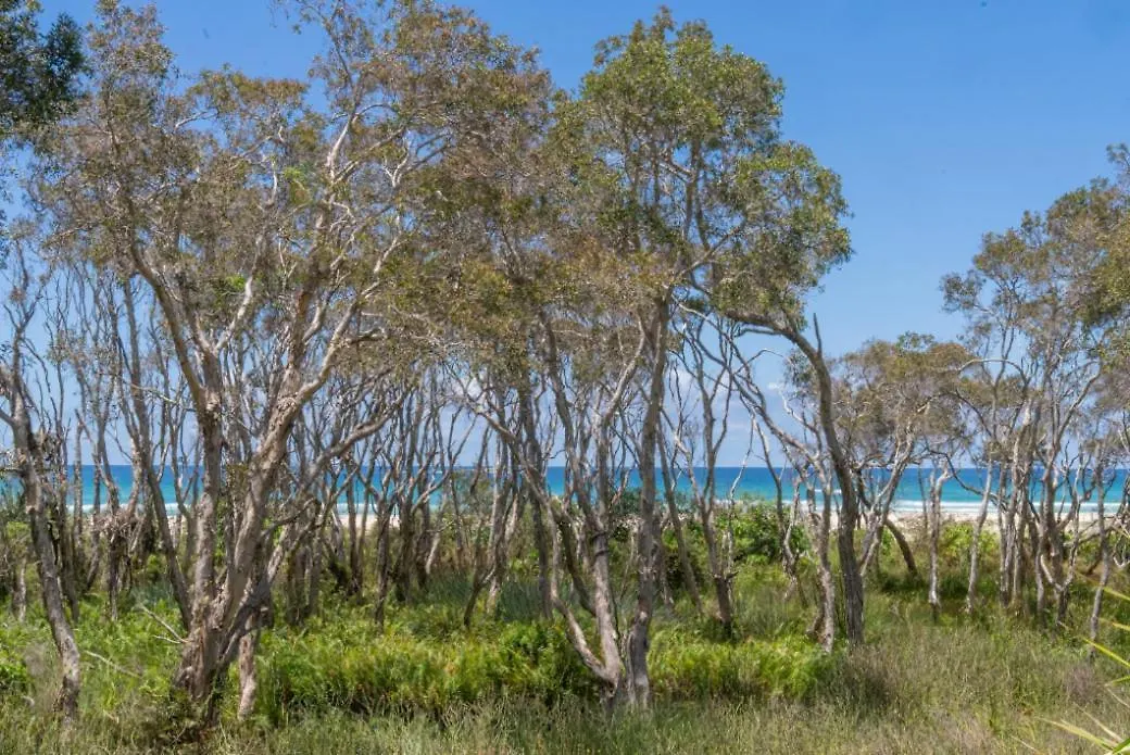 31 At Home - Absolute Beachfront Point Lookout Apartment